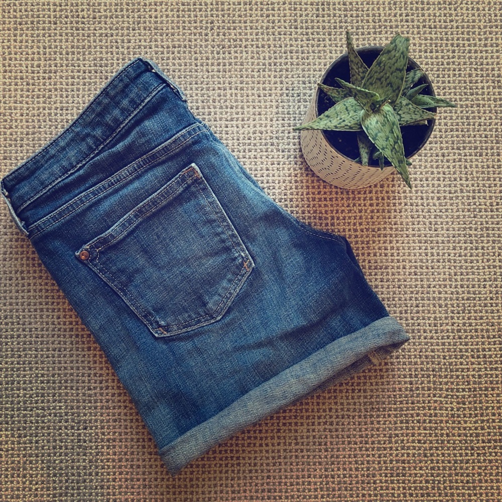 Anthropologie Pilcro Stet shorts size 26